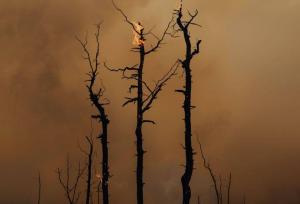 پوستر زیبای ذوب‌آهن؛ فوتبال علیه آتش‌سوزی هیرکانی!