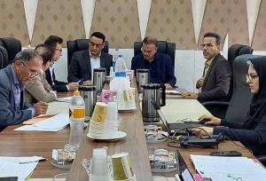 ۲۶ هزار هکتار اراضی در تنگستان و دشتی تعیین تکلیف شد