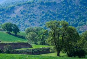 جنبش ملی سرمایه‌گذاری در سپیدان/ نگین سبز فارس آماده پرواز اقتصادی و گردشگری می‌شود