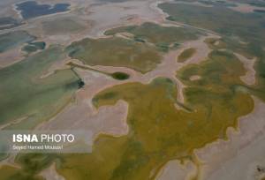 آب، حقی که به تالاب‌های خوزستان نمی‌رسد