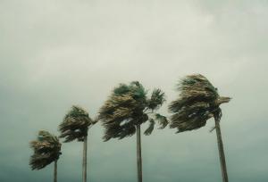 رگبار، رعد و برق و افزایش ارتفاع موج در بوشهر