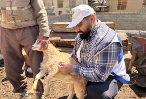 رزمایش دامپزشکی در ۱۱ روستای رامسر برگزار شد