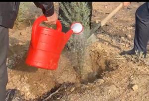 پویش مردمی نهال‌کاری به مناسبت روز دانشجو