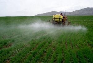 مانور ملی نظارت بر واحدهای کنترل عوامل قرنطینه‌ای گیاهی آغاز شد