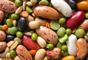 نگهداری از ۱۸۰۰ ژرم پلاسم لوبیا در مرکز تحقیقات خمین