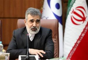 کمالوندی: صنعت هسته ای دوباره خودش را شکوفا می‌کند