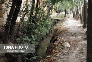 تلاش برای مدیریت مصرف آب در باغات شیراز