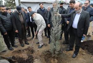 آغاز کاشت ۲۵ هزار نهال در بوستان چیتگر با پویش «احیا چیتگر»