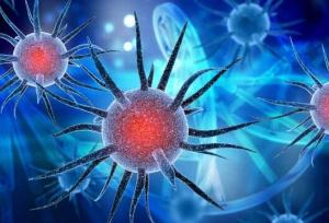 متخصص بیماری‌های عفونی دانشگاه علوم پزشکی اصفهان: ایران بالاتر از میانگین جهانی با معضل مقاومت آنتی‌بیوتیکی مواجه است