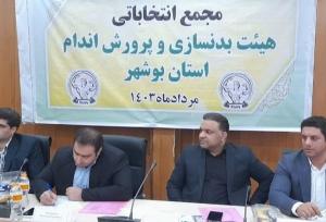 طرح استعدادیابی در ورزش استان بوشهر اجرا می‌شود