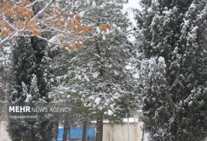 بارش برف و باران در راه استان ایلام