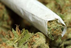 از گل تا کمیکال؛ مخدرهایی که ذهن و بدن را می‌سوزانند