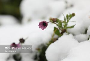 هشدار بارش‌های سیل‌آسا و افت شدید دما در ۱۵ استان کشور