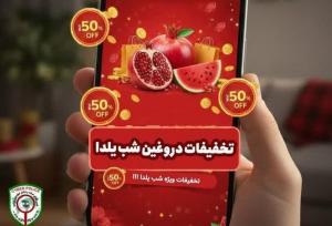 رئیس پلیس فتای بوشهر :مردم مراقب کلاهبرداری‌های شب یلدا باشند