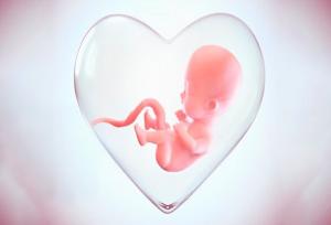 مرکز «نفس» میناب آغاز به کار کرد