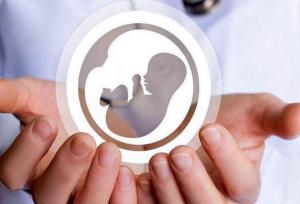 نرخ باروری درمنطقه کاشان به زیر ۱.۵فرزند برای هر مادر در سن باروری است