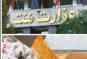 به جای تخصیص ارز وعده تحویل می دهند!