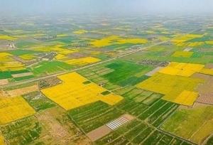 تجمیع ۱۵.۷ هزار هکتار از اراضی کشاورزی کشور 
