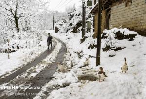 بارش برف در روستاهای شهرستان تفت