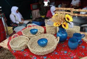 سومین جشنواره و گردهمایی بزرگ شهرستان سیاهکل