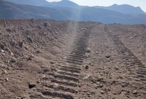 سرمایه‌گذار شترمرغ از دستور استاندار خراسان شمالی سرپیچی کرد