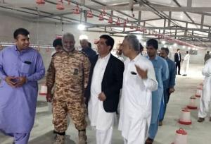 افتتاح اولین واحد پرورش بلدرچین در سیب و سوران