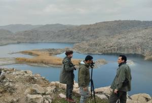 سرشماری پرندگان آبزی و کنارآبزی لرستان در ۱۸ سایت