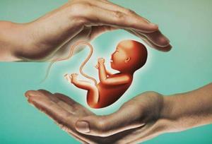 شعار فرزند کمتر، زندگی بهتر، بر الگوهای فرزندآوری اثر گذاشته است