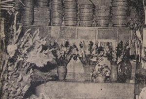 راز باغبانی که تهران را عاشق گل کرد!