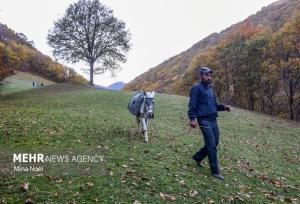 لزوم همکاری مردم برای حفاظت از گونه‌های نادر  و حیات وحش در کردستان