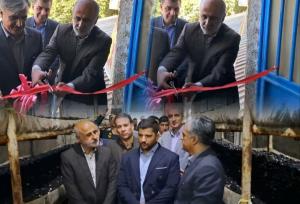 افتتاح پروژه پرورش قارچ با ظرفیت تولید سالانه ۱۵۰ تن در روستای خیاره