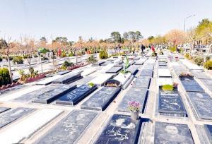 زن جیب‌بر در بهشت زهرا دستگیر شد