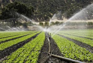 ‌بهره‌وری آب محصولات کشاورزی همدان ۱.۶ کیلوگرم به ازای هر متر مکعب مصرف آب ‌