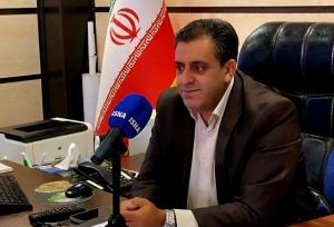 فعالیت زنبورهای گالزا در بلوط‌های بدره تهدیدی برای جنگل محسوب نمی‌شود