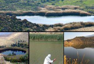 رؤیای تالاب‌های استان لرستان تعبیر می‌شود؟