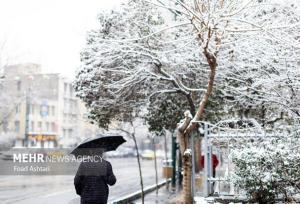 هشدار قرمز هواشناسی به ۳ استان؛ ورود موج برف و کولاک سنگین از فردا