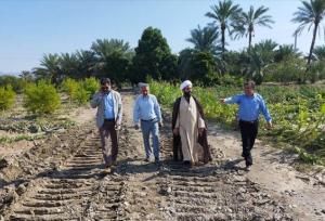 فرماندار رودان: خطر سیلاب در رودخانه ابنما جدی و فوری است