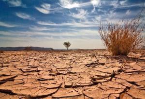 مدیرعامل آب منطقه‌ای یزد: کاهش بارندگی‌ها در فلات مرکزی تنها یک هشدار اقلیمی نیست