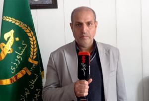 توزیع بیش از ۳۰۰ تن اقلام تنظیم بازاری در ری؛ برداشت ۵۲ هزار تن گندم