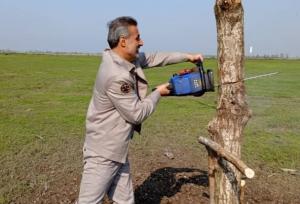 شکارچیان غیرمجاز در خمام ناکام ماندند