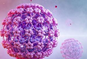 ویروس زگیل تناسلی (HPV) از پیشگیری تا کاهش عوارض