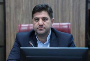 کشف اشیای تاریخی و فرش ابریشمی از قاچاقچی در مرز مهران