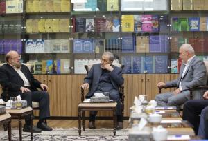 دیدار ولایتی با نمایندگان جنبش‌های مقاومت فلسطین