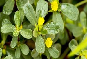 محققان ایرانی ۷ نوع نانو کامپوزیت تولید کردند