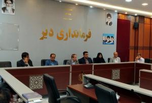 ۹۲ پروژه هفته دولت در شهرستان دیر افتتاح یا آغاز می‌شود