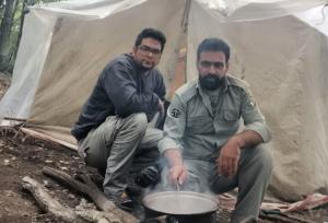 آغاز فصل گاوبانگی در جنگل ابر شاهرود