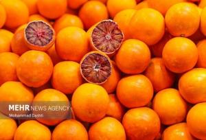 صادرات ۲۰۰ میلیون دلاری محصولات تازه و فرآوری شده مرکبات