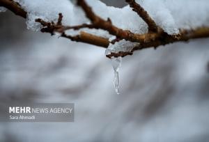 بارش برف در شهرستان قوچان
