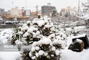 سامانه بارشی تا صبح یکشنبه در اردبیل فعال خواهد بود