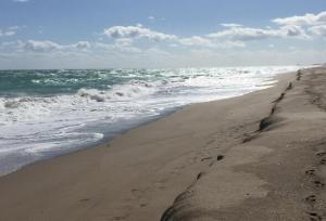 لحظه وداع با سواحل نزدیک شد